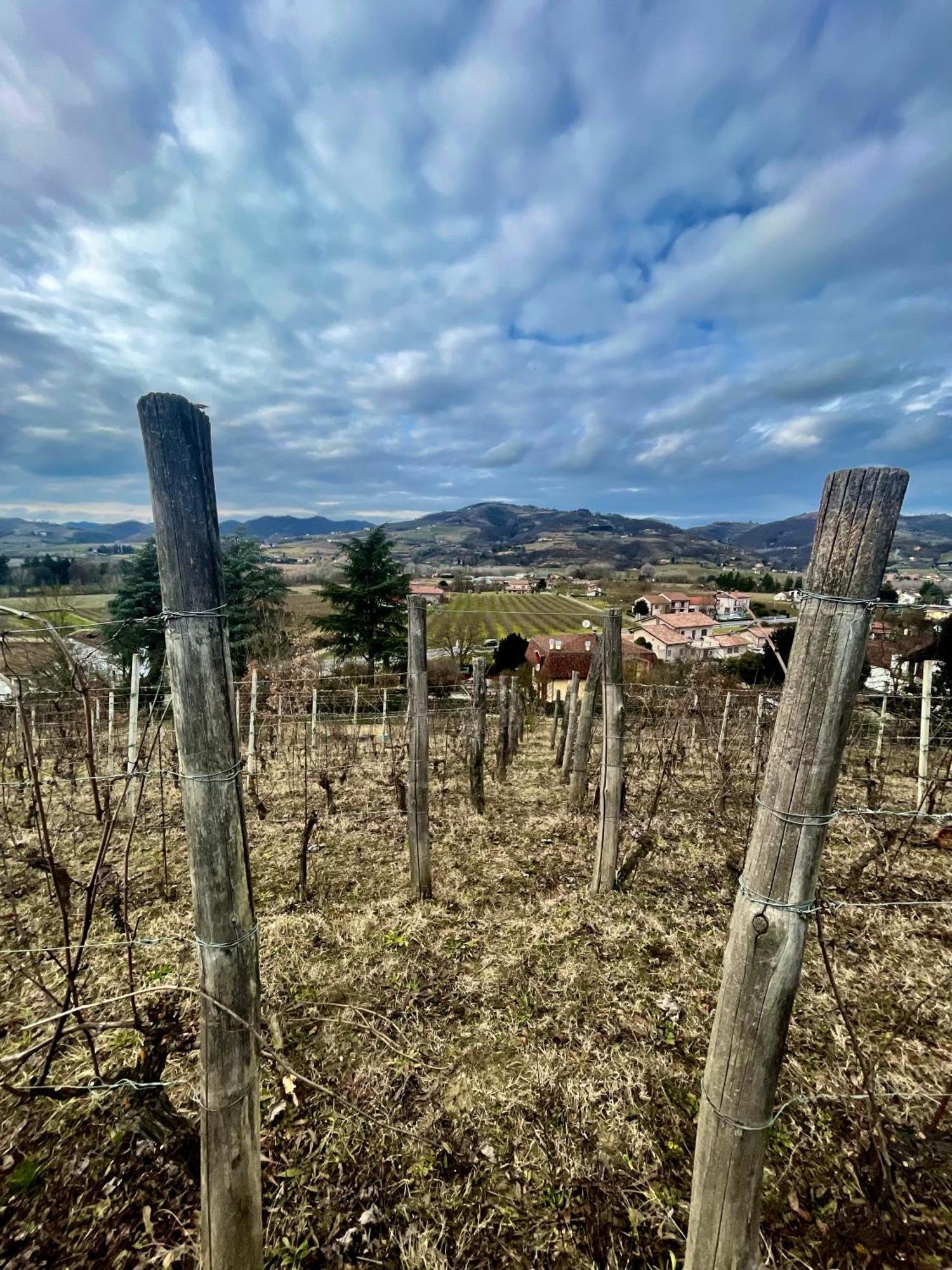 Agriturismo Poderi Zunino Ponti Dış mekan fotoğraf