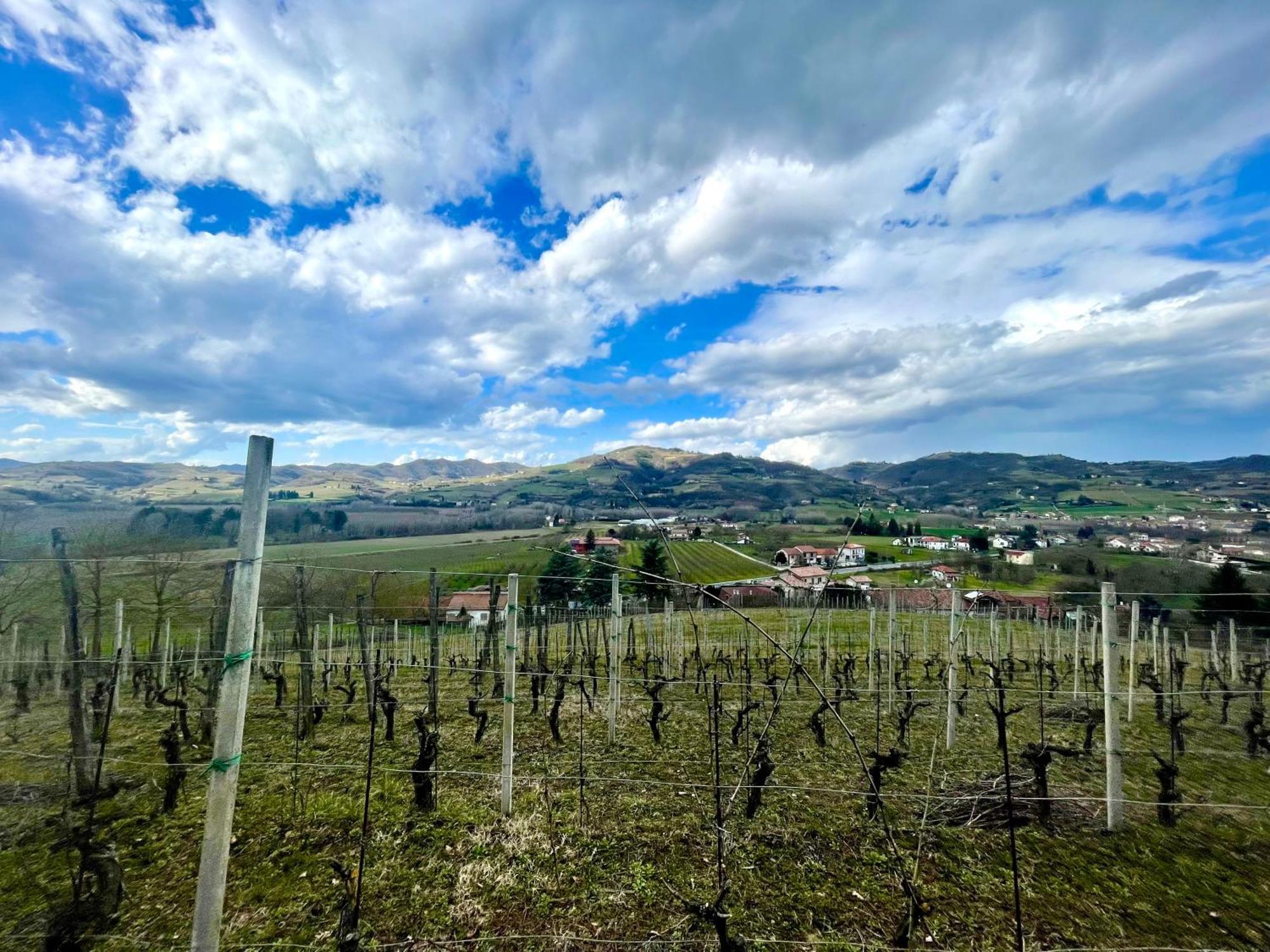 Agriturismo Poderi Zunino Ponti Dış mekan fotoğraf