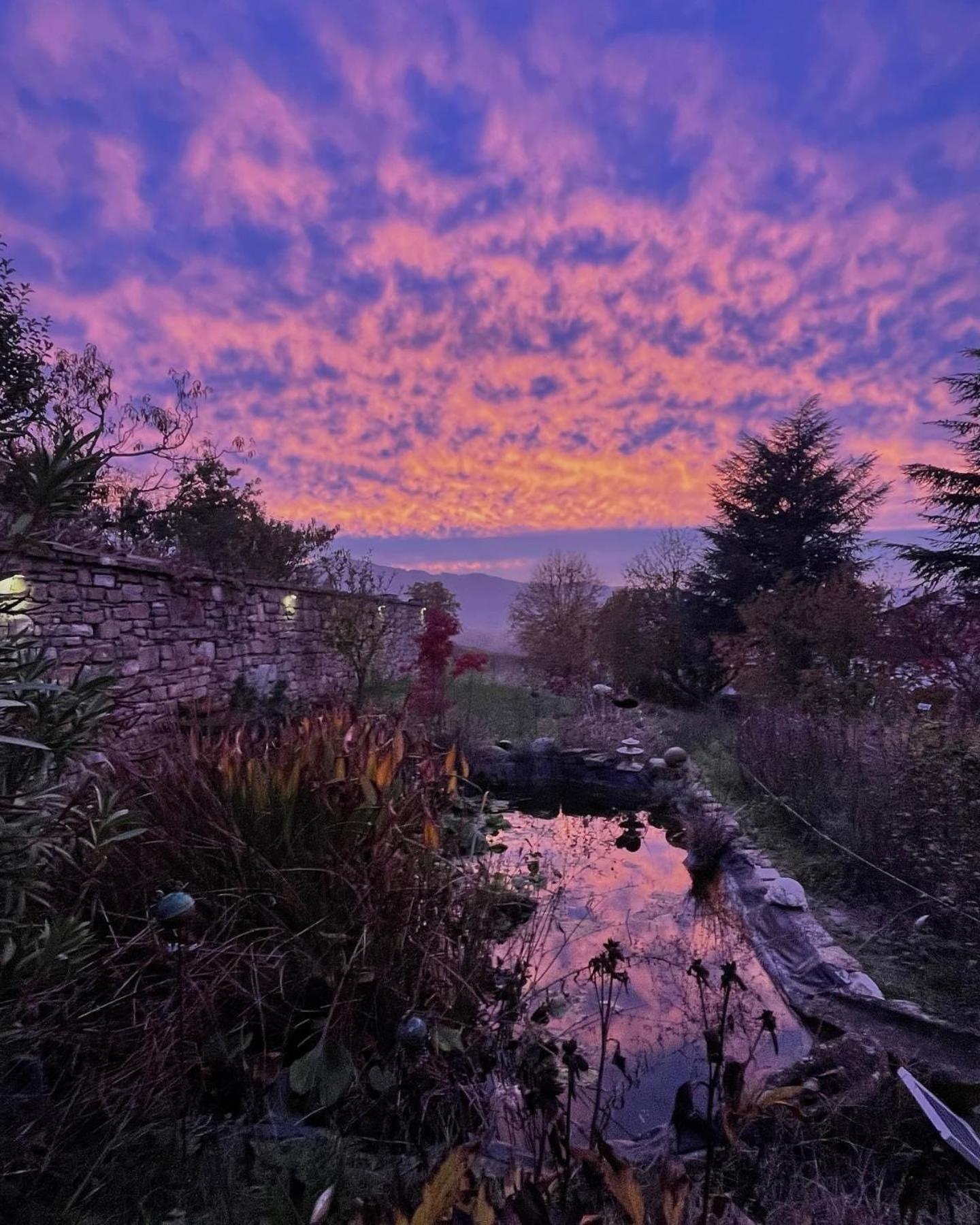 Agriturismo Poderi Zunino Ponti Dış mekan fotoğraf