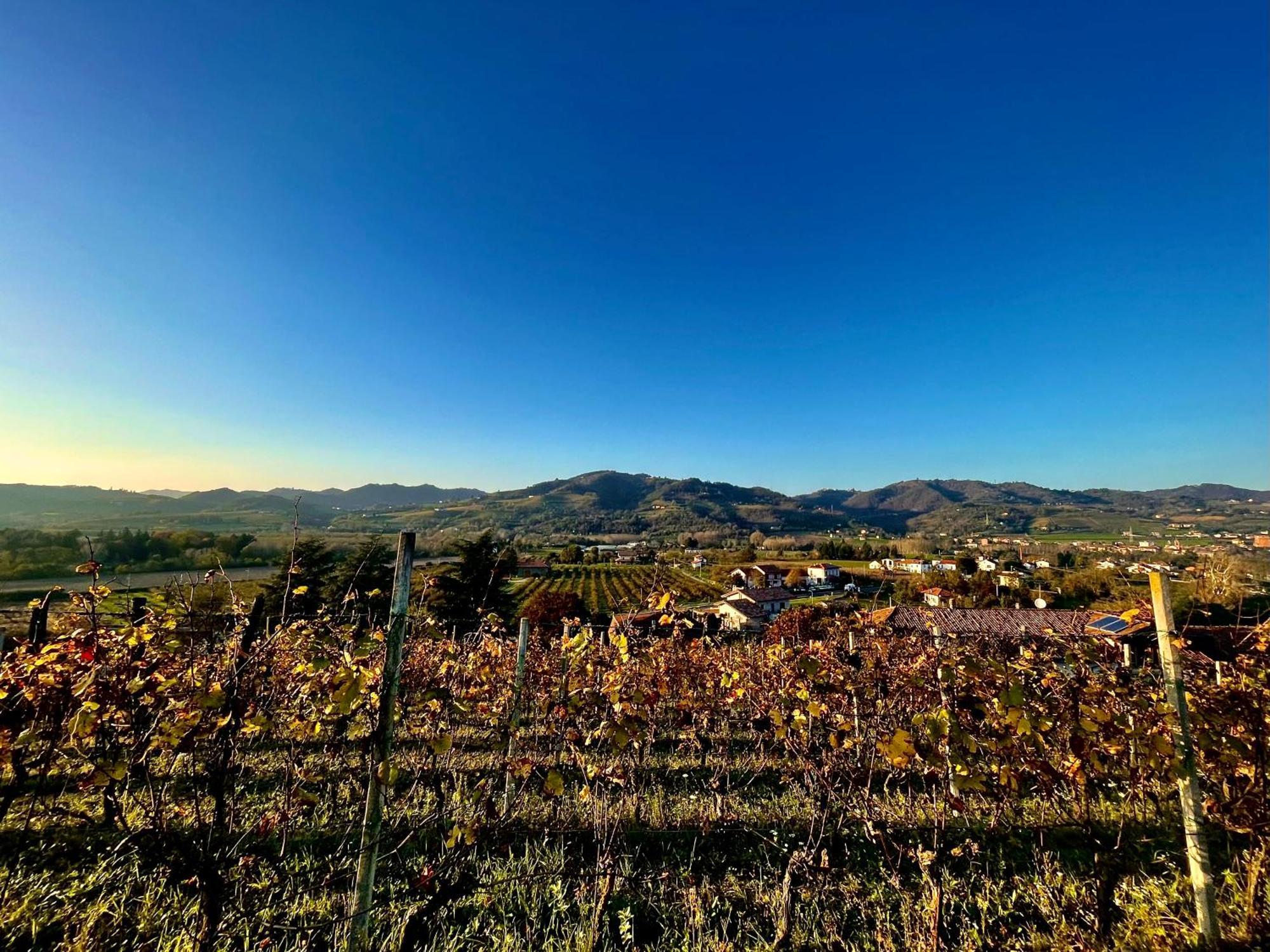 Agriturismo Poderi Zunino Ponti Dış mekan fotoğraf