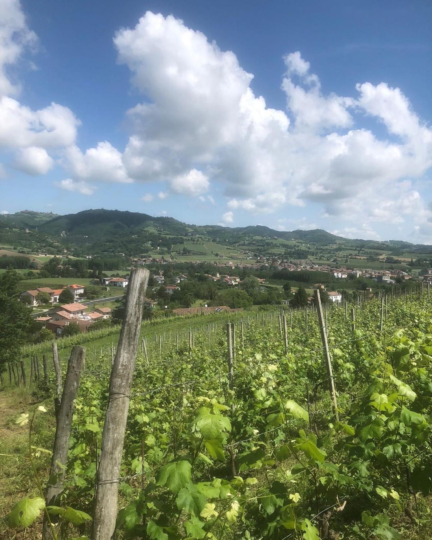 Agriturismo Poderi Zunino Ponti Dış mekan fotoğraf