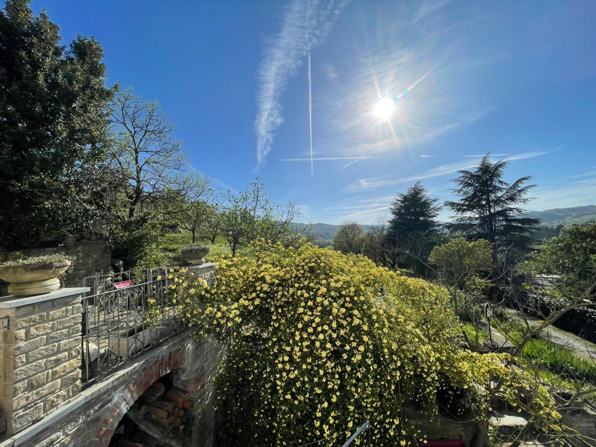 Agriturismo Poderi Zunino Ponti Dış mekan fotoğraf