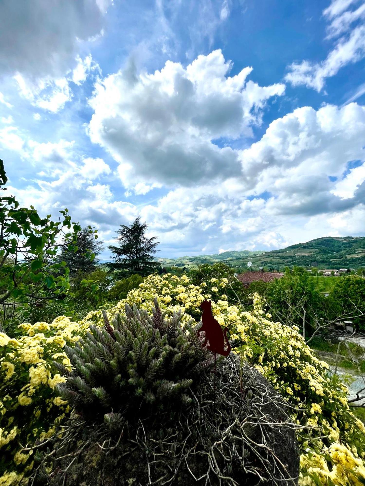 Agriturismo Poderi Zunino Ponti Dış mekan fotoğraf